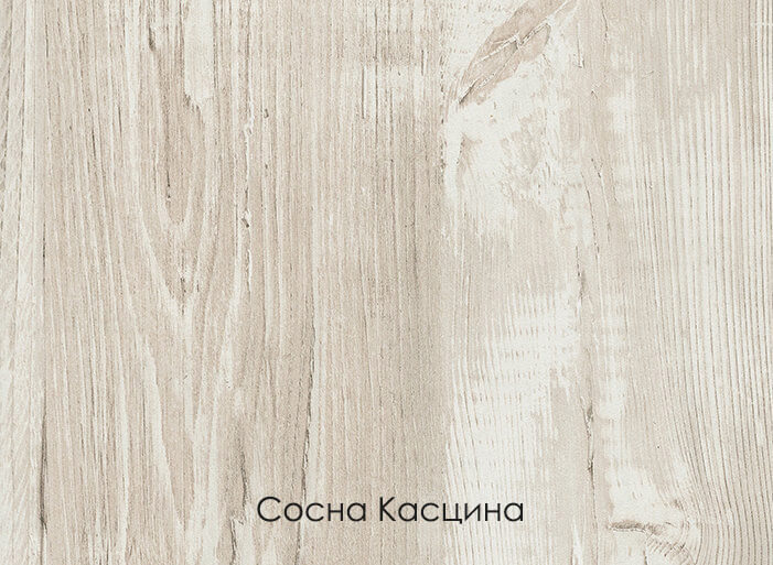 Сосна Касцина